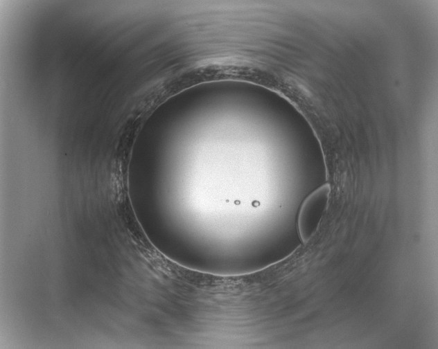 X0000070371062200606121229