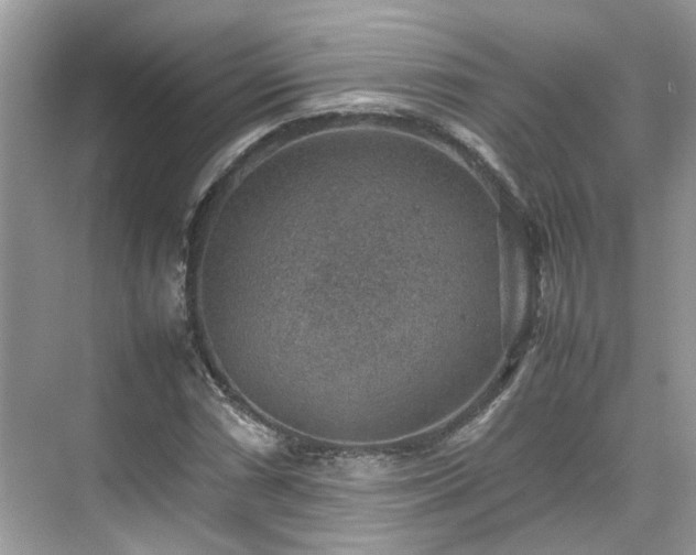 X0000070371066200606121229