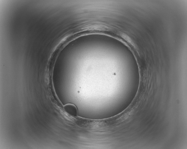 X0000070371067200606121229