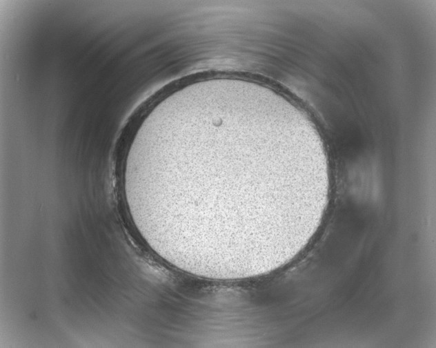 X0000070371070200606121229