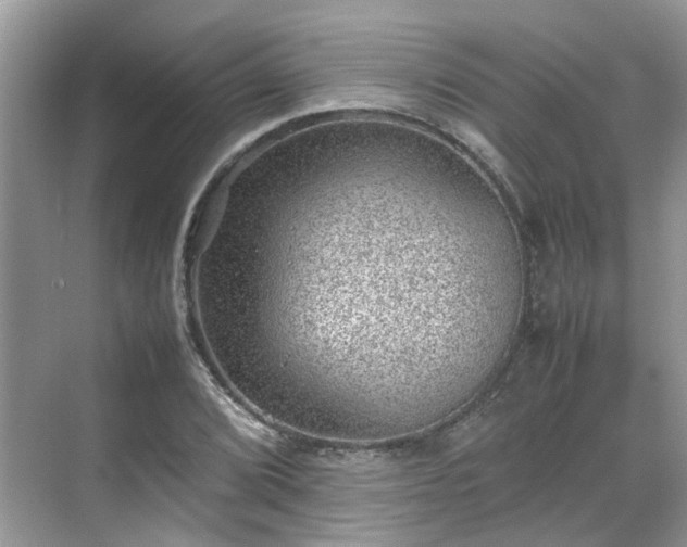 X0000070371072200606121229