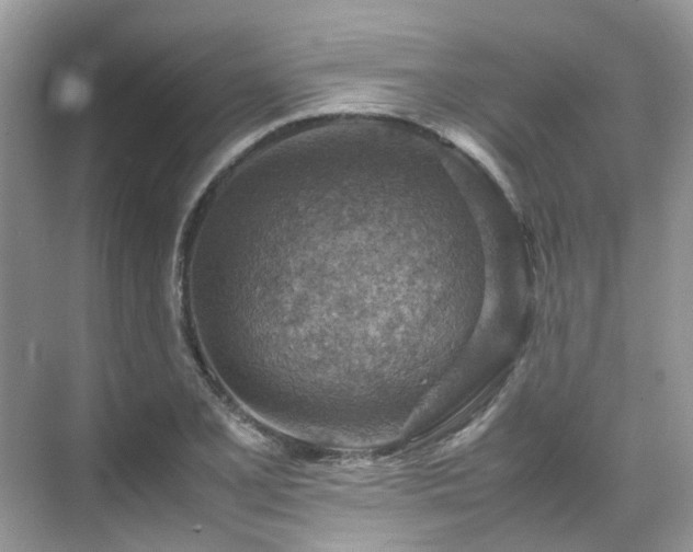 X0000070371077200606121229