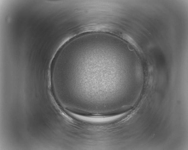 X0000070371079200606121229