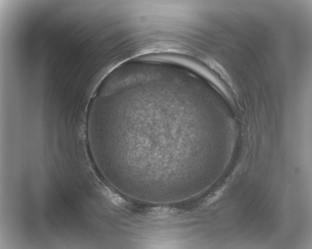 X0000070371081200606121229