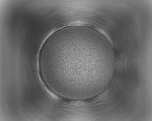 X0000070371083200606121229