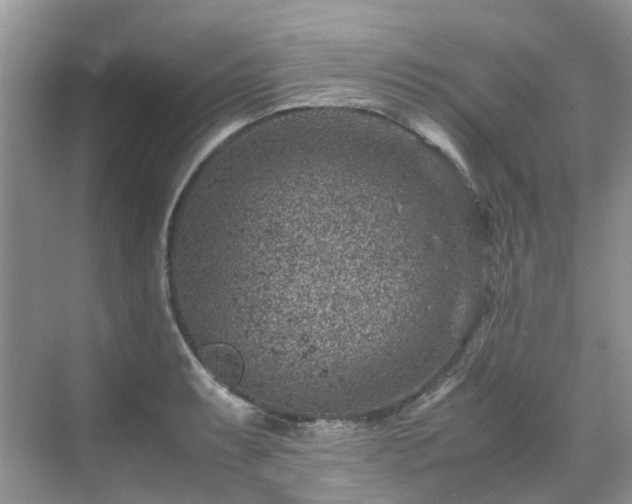 X0000070371087200606121229