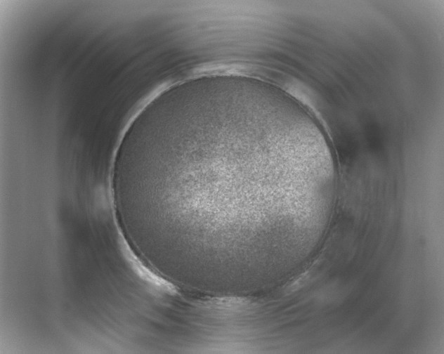 X0000070371090200606121229