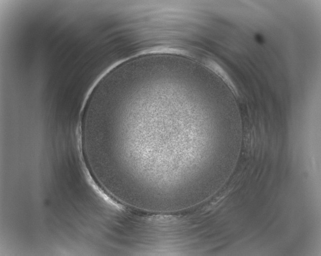 X0000070371092200606121229