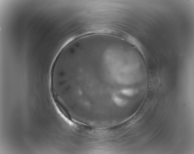 X0000070371095200606121229