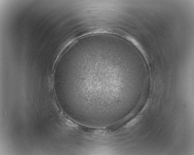 X0000070371097200606121229