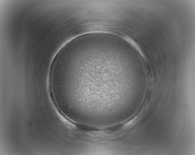 X0000070371101200606121229