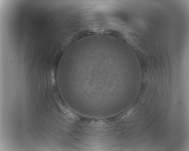 X0000070371106200606121228