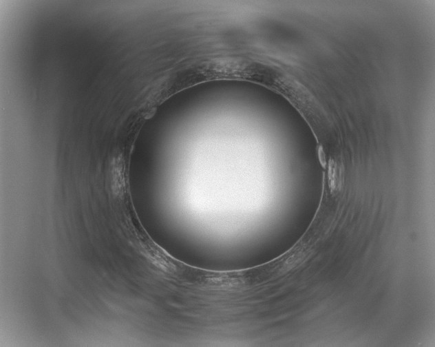 X0000070371107200606121228