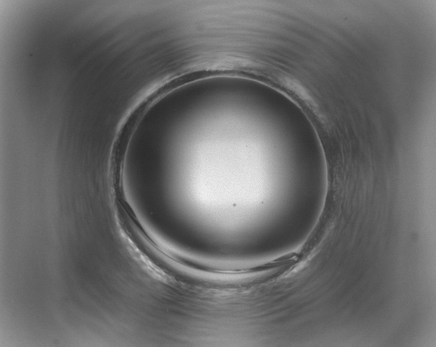 X0000070371122200606121228