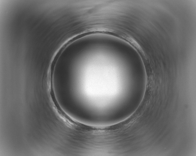X0000070371132200606121228