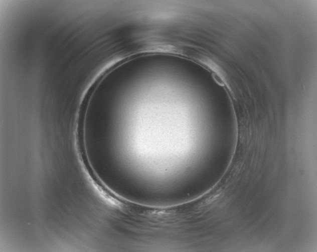 X0000070371139200606121228