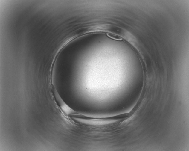 X0000070371145200606121228