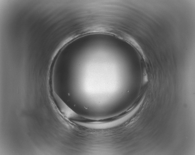 X0000070371146200606121228