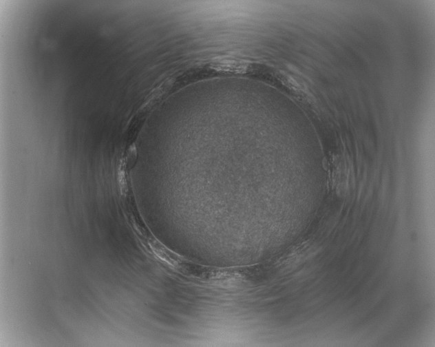 X0000070371154200606121228