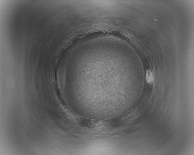 X0000070371155200606121228