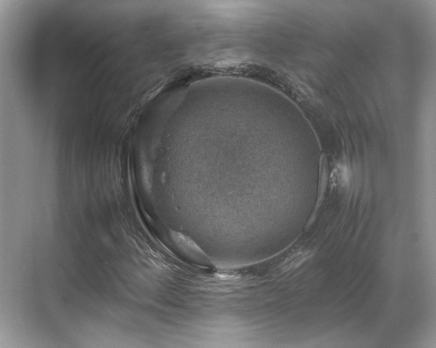 X0000070371156200606121228