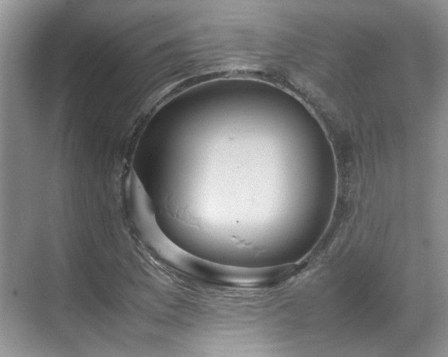 X0000070371169200606121227