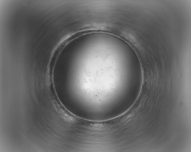 X0000070371172200606121227