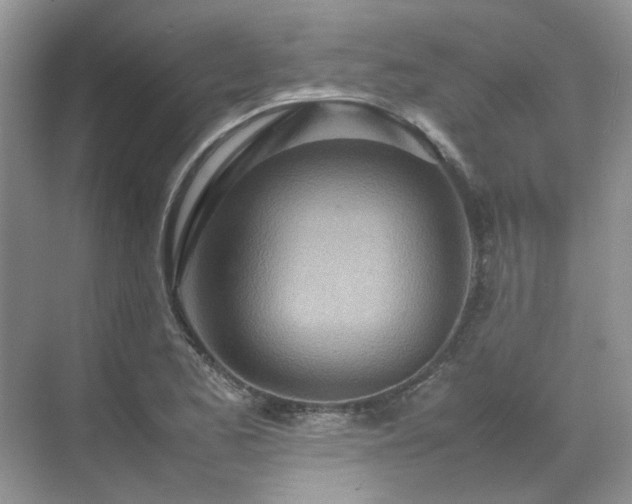 X0000070371173200606121227