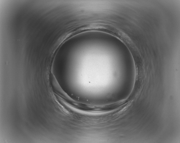X0000070371177200606121227