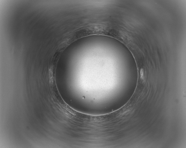 X0000070371203200606121226