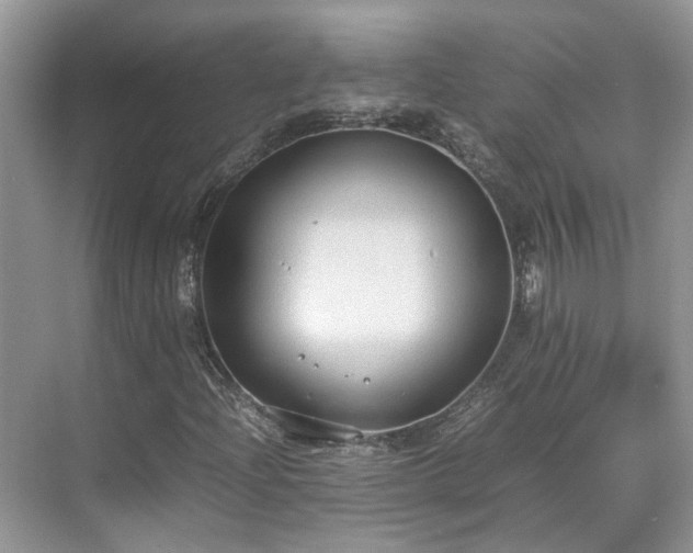 X0000070371204200606121226