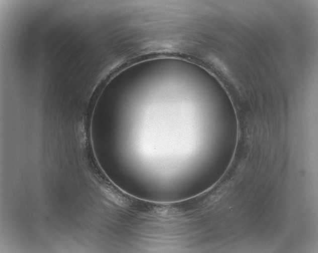 X0000070371218200606121226