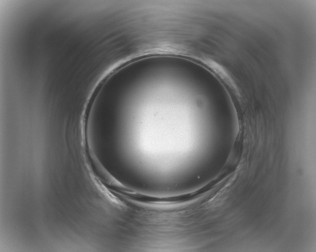 X0000070371238200606121227