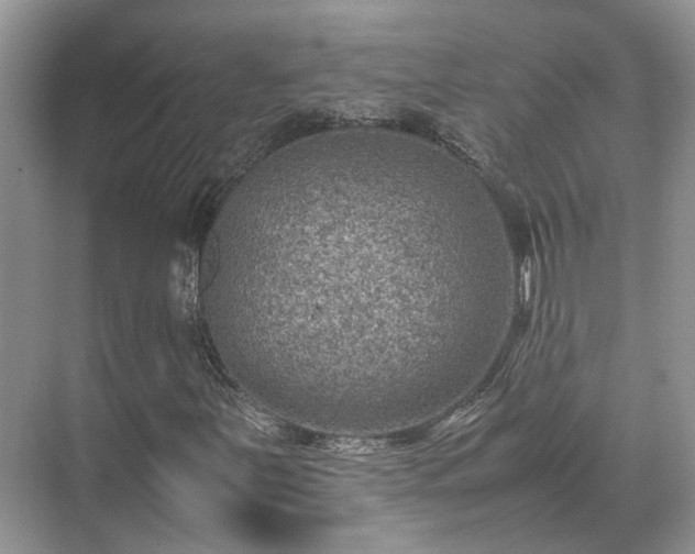 X0000070371251200606121226