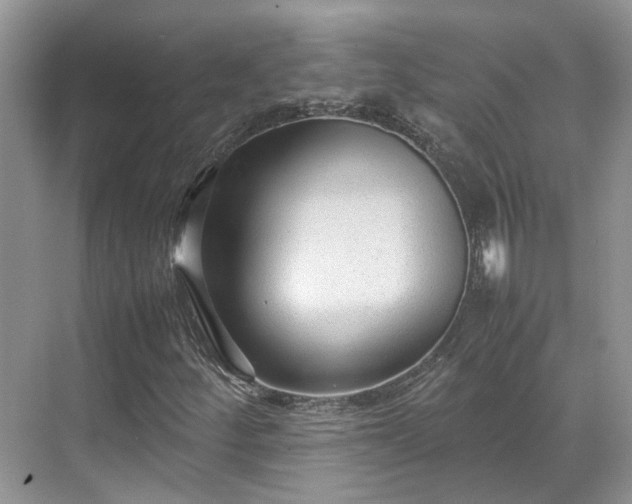 X0000070371252200606121226