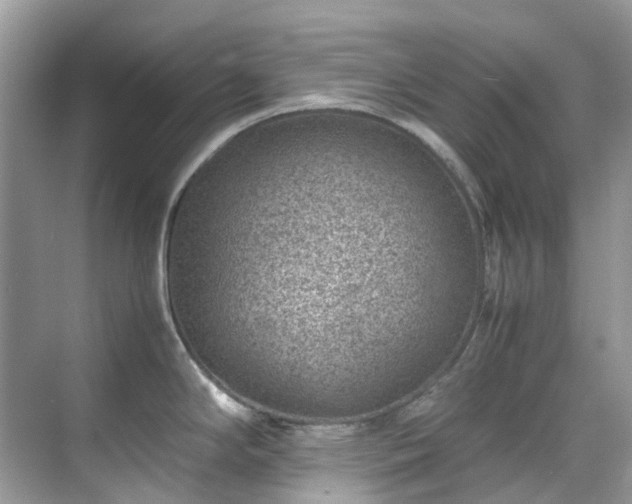 X0000070371294200606121225