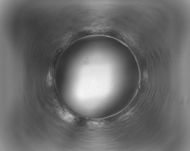 X0000070371300200606121224