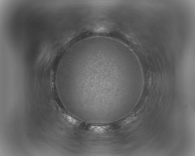 X0000070371301200606121225