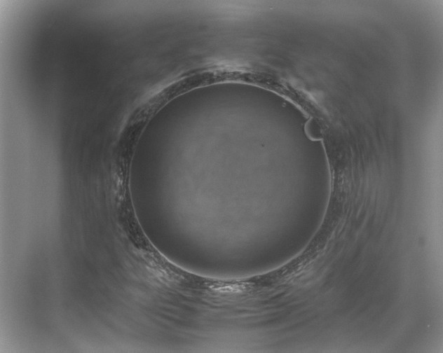 X0000070371303200606121225