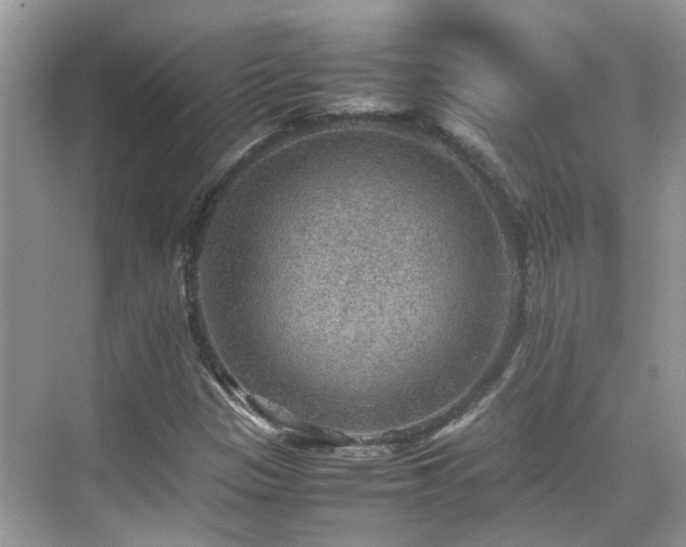 X0000070371305200606121225