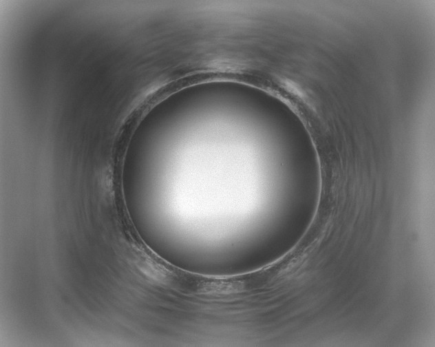 X0000070371307200606121225