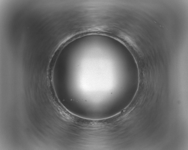 X0000070371308200606121225