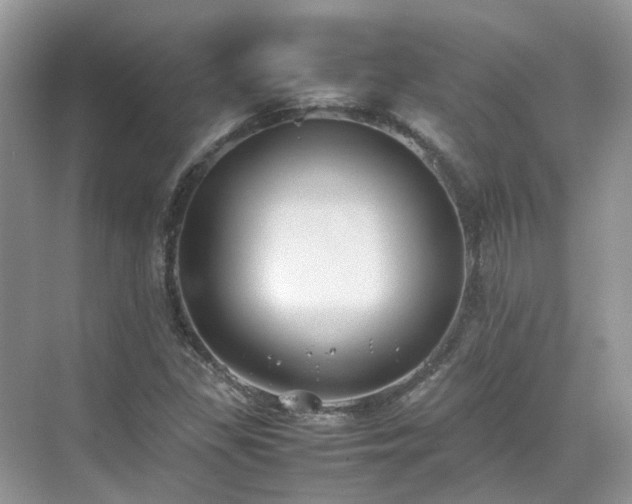 X0000070371309200606121225