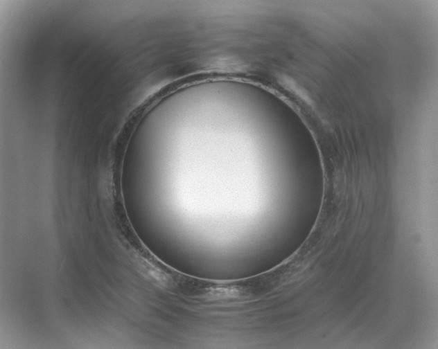 X0000070371315200606121225