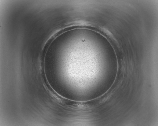 X0000070371318200606121225