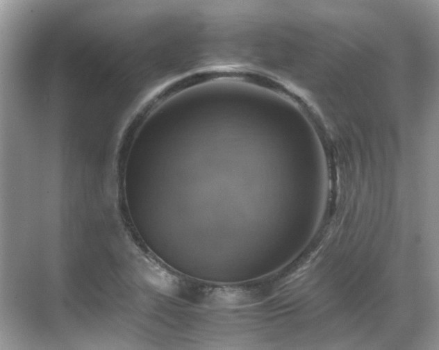 X0000070371319200606121225