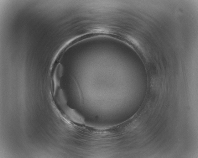 X0000070371323200606121225