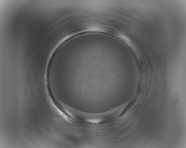 X0000070371331200606121225