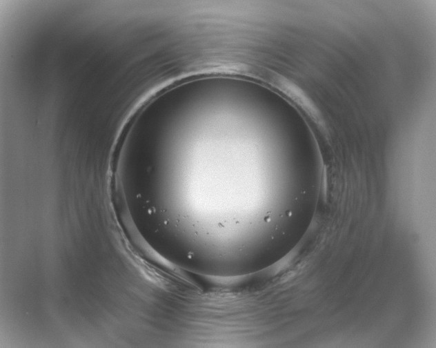 X0000070371332200606121225