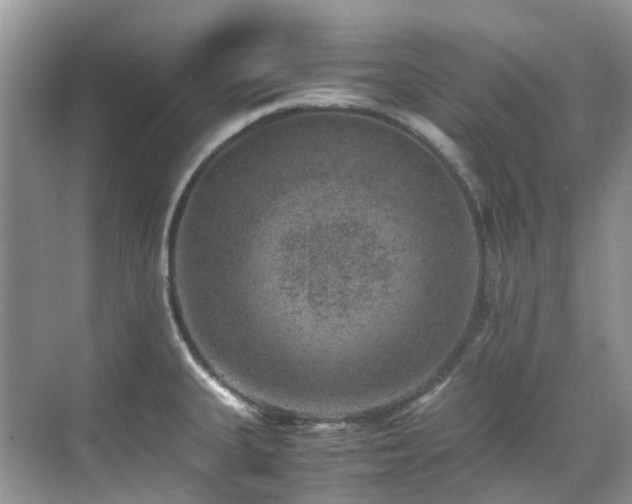 X0000070371335200606121225